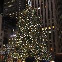The Christmas tree in front of the Rockefeller Center