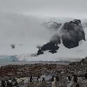 Penguin colony at Cuverville Island, Antarctica