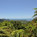 View of Daintree National Park