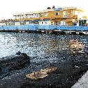 Polluted waterfront in Havana