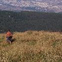 The steep hill above Aleko tourist area 