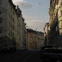 Vienna street