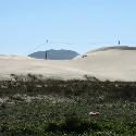 Dunes between the beaches