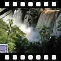 Iguacu falls (7)