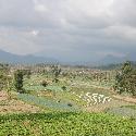 Farmlands and mountains, Indonesia