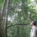 Me in the jungle in Borneo