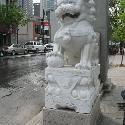 Lion at the gate of Chinatown