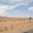 Desert scenery (1)