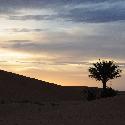 Morning in the desert, Erg Chebbi