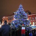 The christmas tree in the city square when lit