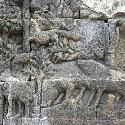 Animals carved on the wall at Borobodur