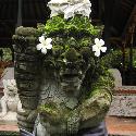 Decorated guardian statue at the king's palace in Ubud