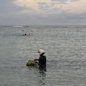 A seaweed farmer with his motorcycle helmet in the water