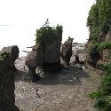 Hopewell Rocks, NB at low tide