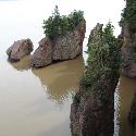 The beach in Hopewell Rocks, NB goes under water during high tide