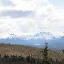 View of Wrangell Mountains, AK