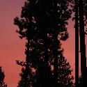 Pink sky at sunset, Spokane, WA